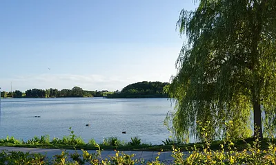 Der Schloonsee, von der Terrasse sichtbar