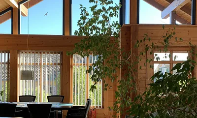 hoher Wohnessbereich