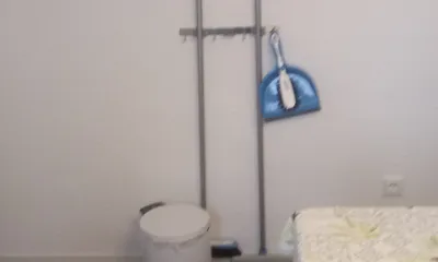 Besen,Schrubber Mülleimer