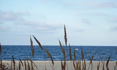 nur ca. 80 m zum Strand
