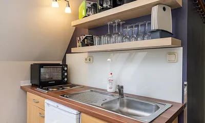 Die kleine Küchenzeile mit Minibackofen, 2-Platten-Herd und Kühlschrank mit Eisfach. 