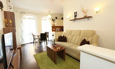 Wohnzimmer (20 m²) mit einer Sitzcouch, Tisch, Smart-TV und Blu-Ray-Player