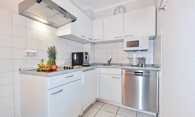 offene Küche mit Geschirrspüler