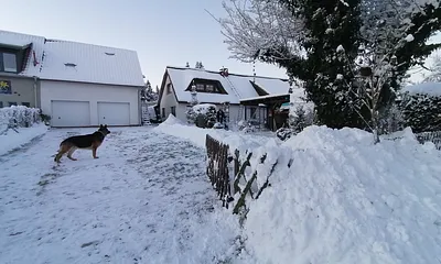 Blick auf das Grundstück mit der Wohnung über der Garage 