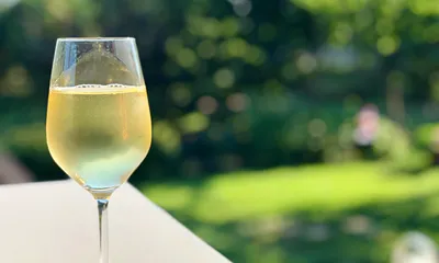 Blick von der Terrasse