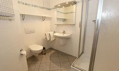 Badezimmer mit Dusche (flacher Einstieg), WC, Waschtisch und Fön 