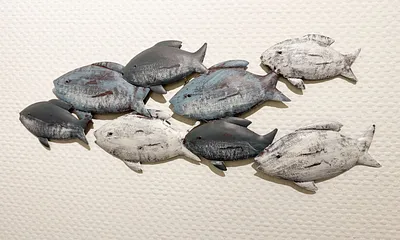 Fischschwarm als Wandeko