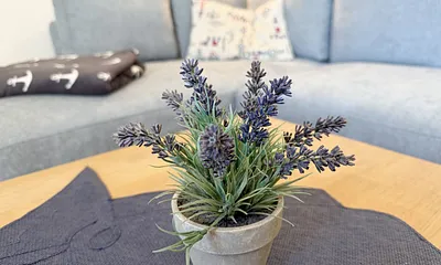 Dekoration Wohnzimmer