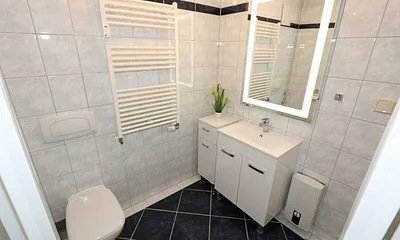 Badezimmer mit Dusche, Fön, Waschtisch, Kosmetikspiegel, WC und Handtuchheizkörper