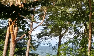 Blick auf die Ostsee vom naturbelassenen 1400 m² großen Traumgrundstück