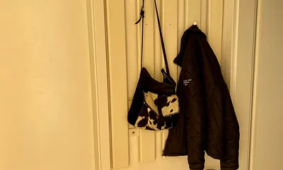 Eingangsbereich - Diele