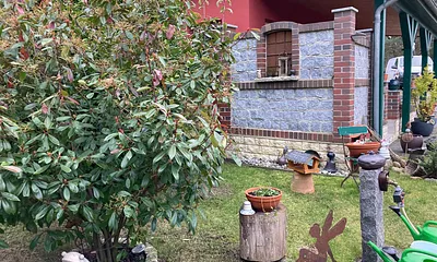 Aussenansicht-Wilhelmshöhe 8  Sichtschutz