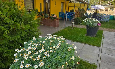 Vorderansicht  Terrasse 