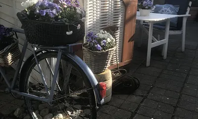 Ansicht Hof/Garten zum verweilen