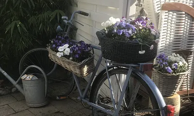 Impressionen FEWO MÖWE