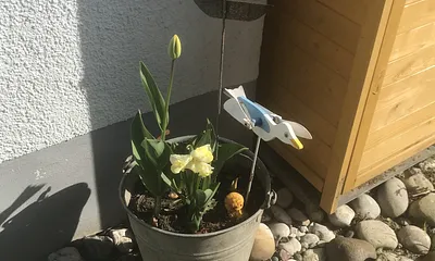 Impressionen Fewo Möwe