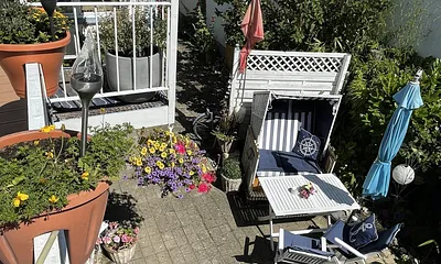 Blick von der Terrasse 