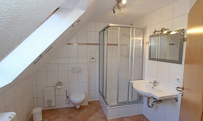 Tageslichtbad mit Dusche, Waschtisch, WC, Kosmetikspiegel und Fön 