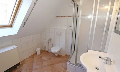 Tageslichtbad mit Dusche, Waschtisch, WC, Kosmetikspiegel und Fön 