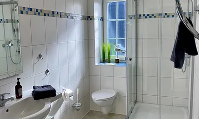 modernes Tageslichtbad mit Dusche, Waschtisch mit Unterschrank, Kosmetikspiegel, WC, Fön und Insektenschutz