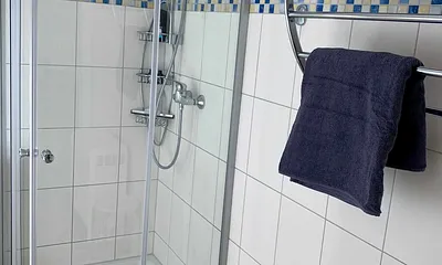 modernes Tageslichtbad mit Dusche, Waschtisch mit Unterschrank, Kosmetikspiegel, WC, Fön und Insektenschutz