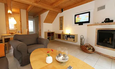 Wohnbereich mit Kamin und TV