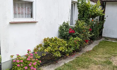 Seitenbereich von der Fewo