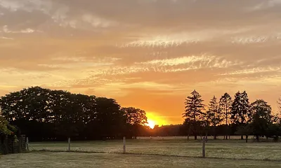 Blick von der Terrasse
