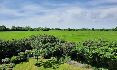 Blick aus dem Wohnzimmer 