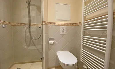 Badezimmer mit Dusche und Handtuchheizkörper