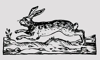 Finden Sie dieses schöne Detail in der Ferienwohnung ??