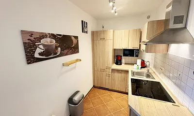 Küchenzeile mit Geschirrspüler, Cerankochfeld, Kühlschrank mit Eisfach, Mikrowelle, Kaffeemaschine, Wasserkocher und ein Toaster