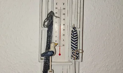 Thermometer