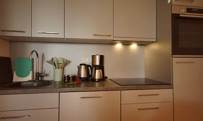 Küchenzeile mit Spülmaschine, Kühlschrank mit Eisfach, Backofen, Dunstabzugshaube, Wasserkocher, Kaffeemaschine, Toaster, Induktionsfeld und allerlei Küchenkleingeräte