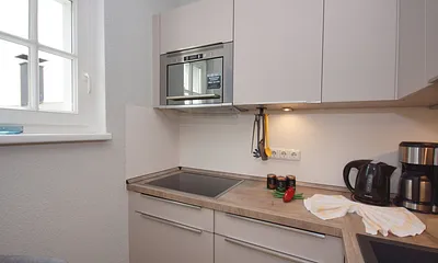 offene und voll ausgestattete Küchenzeile mit Spülmaschine, Kühlschrank mit Eisfach, Dunstabzugshaube, Wasserkocher, Kaffeemaschine, Toaster, Induktionsfeld und Mikrowelle