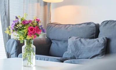 Die gemütliche Couch