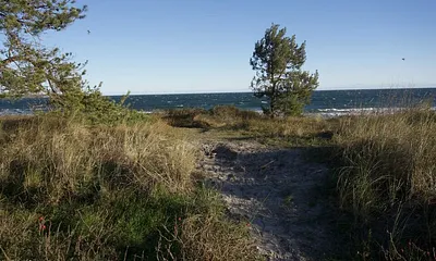 naturbelassene Strandzugänge