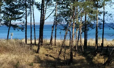 Die Ostsee vor dem Fenster
