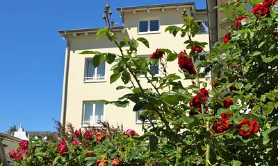 Das Haus Metropol von hinten