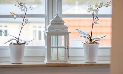 Der gemütliche Wohnbereich in der unteren Etage