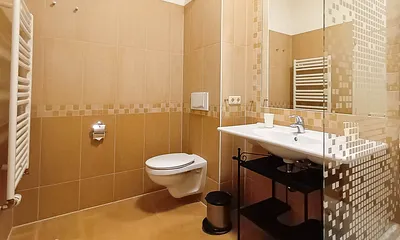 Das Bad mit Dusche und WC