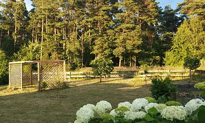 Garten und Waldblick