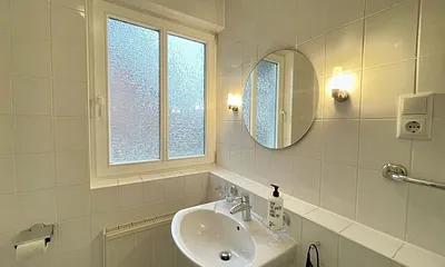 Tageslicht-Badezimmer mit Eck-Dusche, Fön, WC, beleuchteter Spiegel, Ablage, Waschplatz sowie ein Insektenschutzgitter