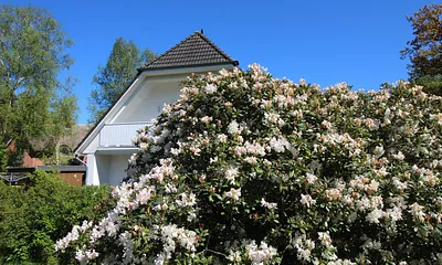 Blick aufs Haus/Garten