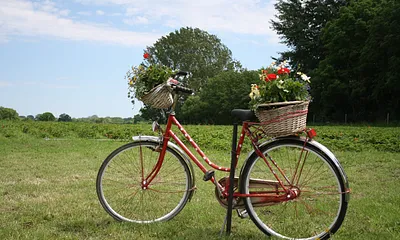 Lust auf Fahrradtour