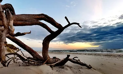 Weststrand auf dem Darß