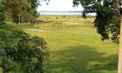 Seeblick zum Binnensee Bodden