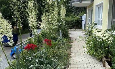 Wohnung "Wilma" mit Balkon, 2-Zimmer-Ferienwohnung (Wohnung Wilma mit Balkon)