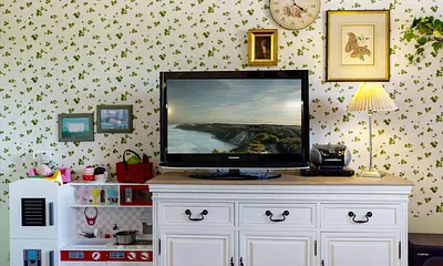 Das Wohnzimmer mit TV, DVD-Player und Radio. WLAN ist am HotSpot auf dem Hof verfügbar.