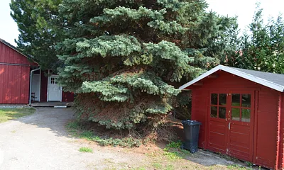 Schuppen zum Fahrrad unterstellen